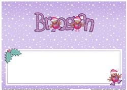 Xmas Brogan Matching Large Dl Insert