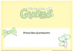 New Baby Granparent Matching Large Dl Insert