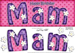 Large Dl Birthday Mam Quick Card N 3D Decoupage