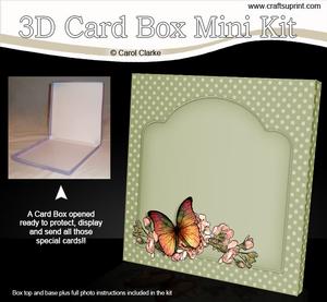 Butterfly & Flowers 5.5 x 5.5 Square Card Box Mini Kit