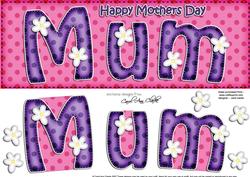 Large Dl Mothers Day Mum Quick Card N 3D Decoupage