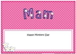 Mothers Day Mam Matching Large Dl Insert