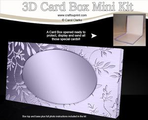 Metallic Embosed Leaves Dl Card Box Mini Kit