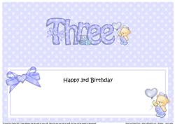 3rd Birthday Large Dl Matching Large Dl Insert