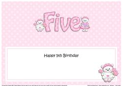 5th Birthday Large Dl Matching Large Dl Insert