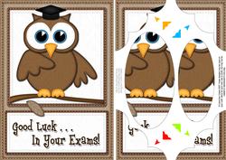 A5 Wise Owl Exam Good Luck Felties Scallop Corner N Pyramage