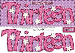 13th Birthday Large Dl Quick Card N 3D Decoupage