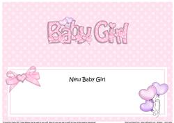 New Baby Girl Matching Large Dl Insert