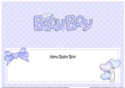 New Baby Boy Matching Large Dl Insert