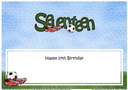 17th Birthday Large Dl Matching Large Dl Insert