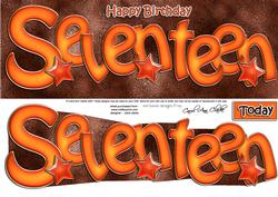 17th Birthday Large Dl Quick Card N 3D Decoupage