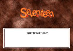 17th Birthday Large Dl Matching Large Dl Insert