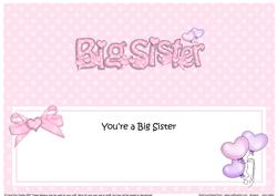 Big Sister Matching Large Dl Insert