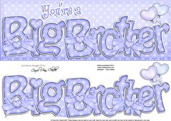 Large Dl Big Brother Felties Card & 3D Decoupage