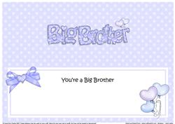 Big Brother Matching Large Dl Insert