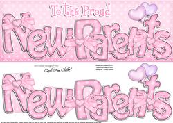 Large Dl New Parents Felties Card & 3D Decoupage