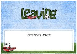 Sorry You're Leaving Large Dl Matching Insert