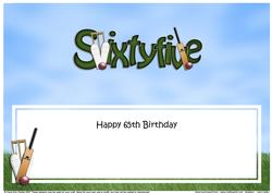 65th Birthday Large Dl Matching Large Dl Insert