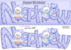Birthday Nephew Large Dl Card N 3D Decoupage