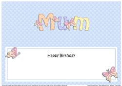 Birthday Mum Matching Large Dl Insert
