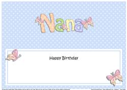 Birthday Nana Matching Large Dl Insert