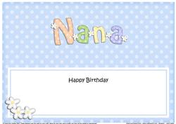 Birthday Nana Matching Large Dl Insert