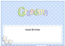 Birthday Grandma Matching Large Dl Insert