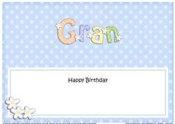 Birthday Gran Matching Large Dl Insert