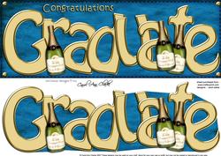 Large Dl Graduation Quick Card N 3D Decoupage