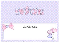 New Baby Twins Matching Large Dl Insert