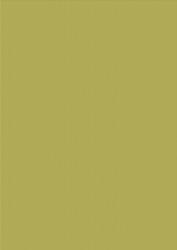 'sage Linen Embossed' Backing Paper