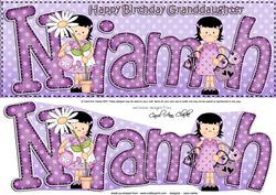 Girlz Birthday Niamh Large Dl Quick Card 3D Decoupage