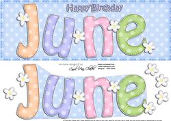 Large Dl Birthday June Quick Card 3D Decoupage
