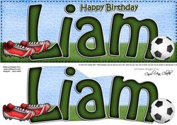 Large Dl Birthday Liam Quick Card 3D Decoupage