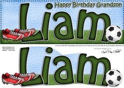 Large Dl Birthday Liam Quick Card 3D Decoupage