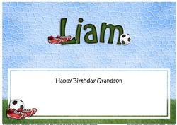 Birthday Liam Matching Large Dl Insert