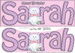 Large Dl Birthday Sarah Quick Card N 3D Decoupage