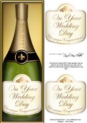 Large Dl Wedding Champers in a Box Quick Card 3D Decoupage
