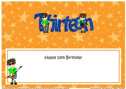 13th Birthday Large Dl Matching Large Dl Insert