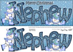 Large Dl Xmas Nephew Quick Card 3D Decoupage