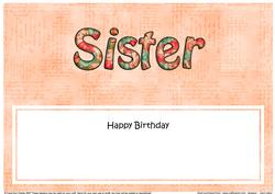 Birthday Sister Matching Large Dl Insert
