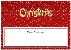 Xmas Merry Christmas Matching Large Dl Insert
