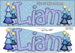 Xmas Large Dl Liam Quick Card N 3D Decoupage