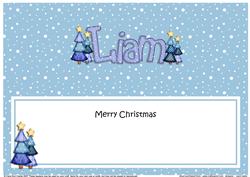 Xmas Liam Matching Large Dl Insert