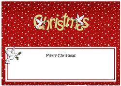 Xmas Merry Christmas Matching Large Dl Insert