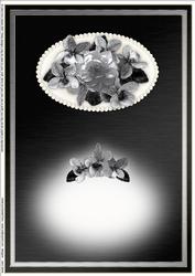 Flowers & Pearls Landscape Insert