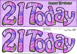 Birthday 21 Today Large Dl Quick Card 3D Decoupage