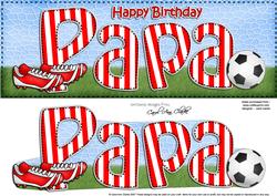Birthday Papa Large Dl Quick Card 3D Decoupage