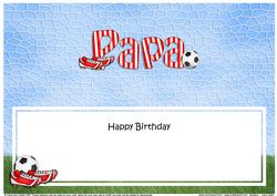 Birthday Papa Football Large Dl Matching Insert