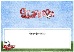 Happy Birthday Grandson Matching Large Dl Insert